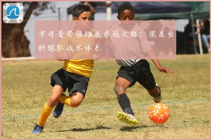 字母哥带领雄鹿夺冠之路：深度分析球队战术体系