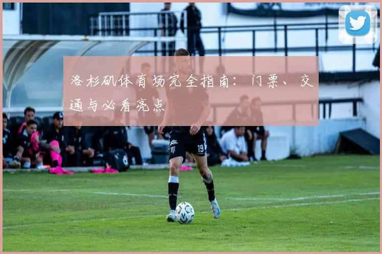 洛杉矶体育场完全指南：门票、交通与必看亮点